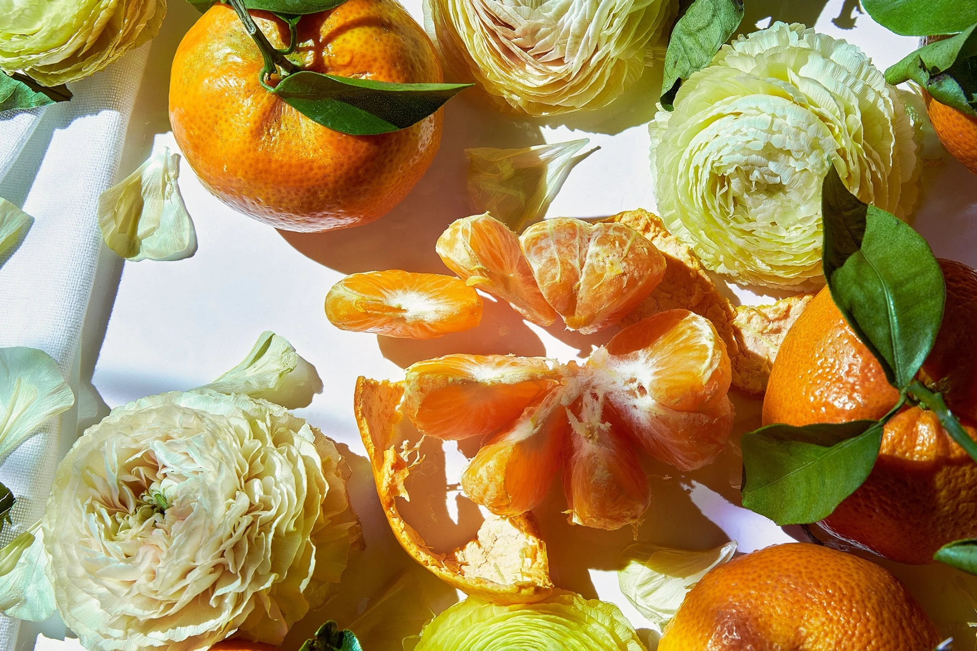 Composition d’agrumes et fleurs